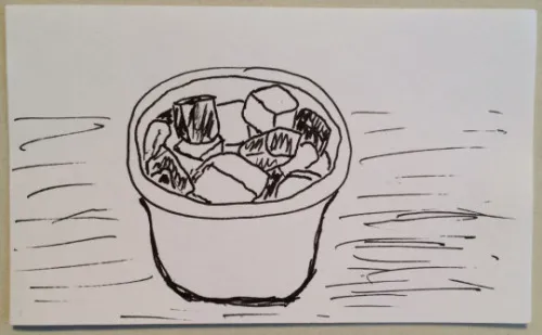 Sugarcubes